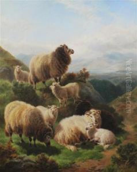 Sheep In A Mountainous Landscape Oil Painting by William Watson