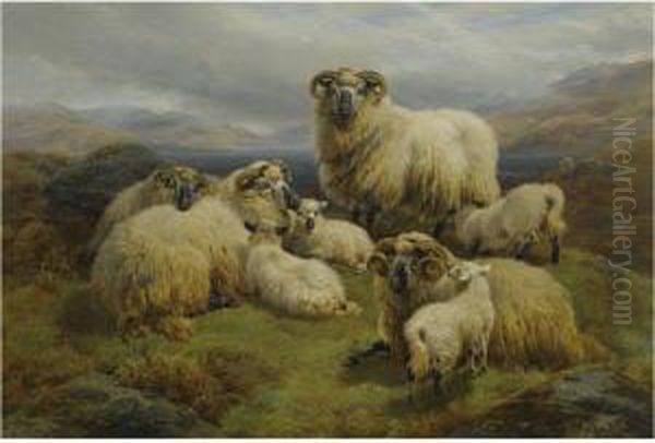 Sheep In The Highlands Oil Painting by William Watson