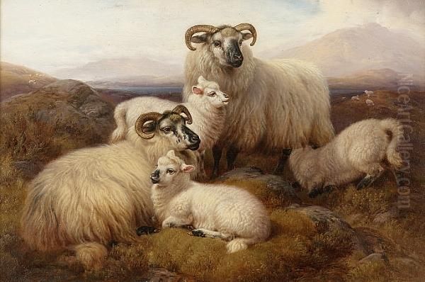 Sheep In The Highlands; Highland Cattle Oil Painting by William Watson