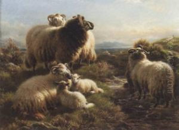 Collecting The Flock-morning Oil Painting by William Watson