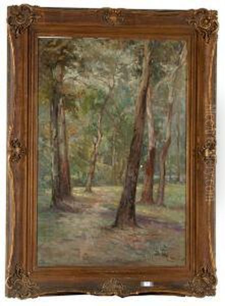 The Gums At Eltham Oil Painting by Hal Waugh