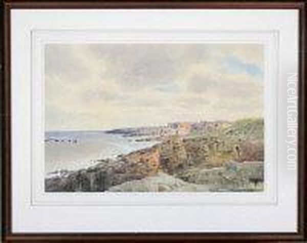 Craster Harbour, Northumberland Oil Painting by William Cossens Way