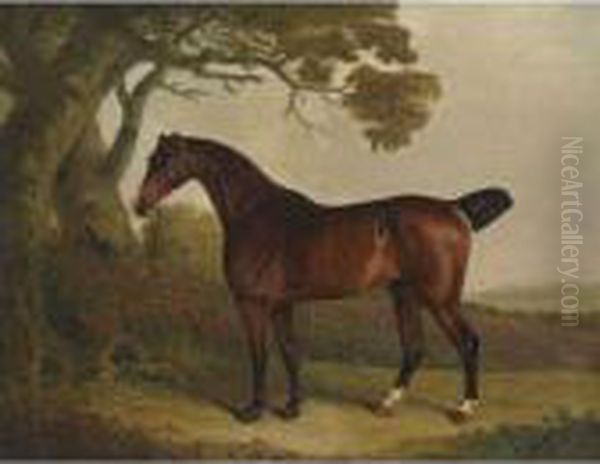 A Bay Horse Tethered To A Tree In A Landscape Oil Painting by Thomas Weaver