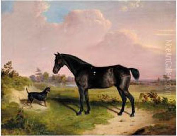 A Dark Bay Pony With A Terrier In A Landscape Oil Painting by Edward Webb