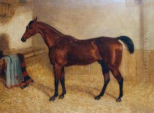 Sickle, A Favourite Hunter In A Box Oil Painting by Edward Walter Webb