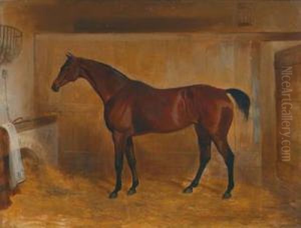 A Thoroughbred Bay In The Stable Oil Painting by William Webb