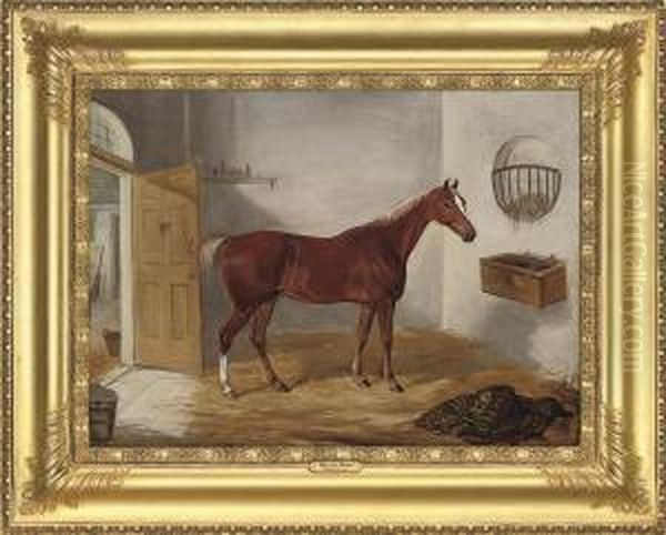 A Chestnut Hunter In A Stable Oil Painting by William Webb