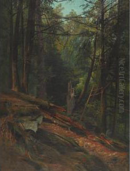 Philadelphia Forest Interior Oil Painting by Philipp Weber