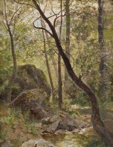 Woodland Stream Oil Painting by Rudolf Weber