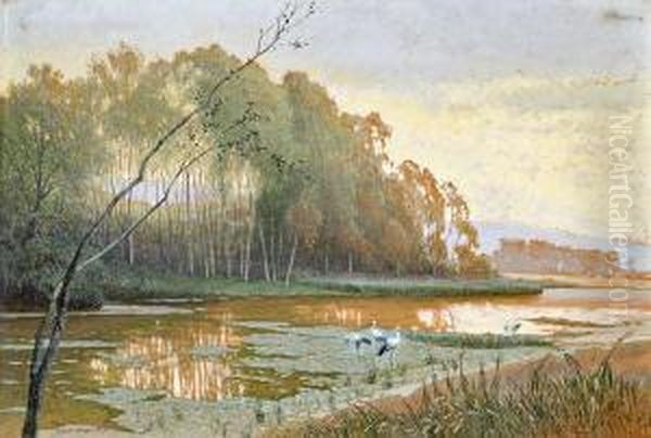 Weiher Oil Painting by Rudolf Weber