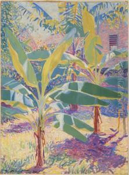 The Cabbage Patch, Bermuda Oil Painting by Edwin Ambrose Webster