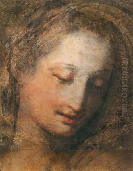 Face of a Woman with Downcast Eyes Oil Painting by Federico Fiori Barocci