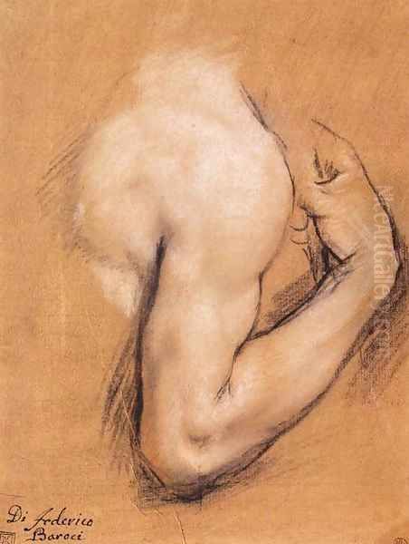 Study of a Bent Right Arm Oil Painting by Federico Fiori Barocci