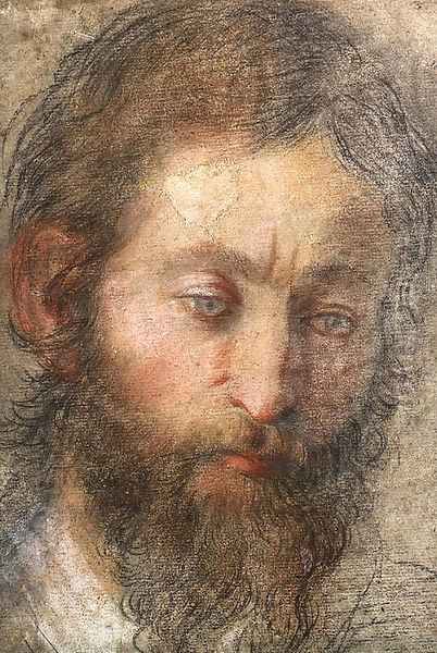 The head of a man looking down Oil Painting by Federico Fiori Barocci