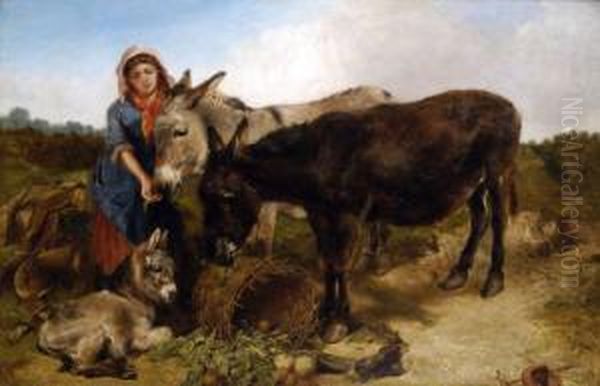 Well Done, A Peasant Girl Feeds The Donkeys, Their Foal Resting Oil Painting by Henry Weekes