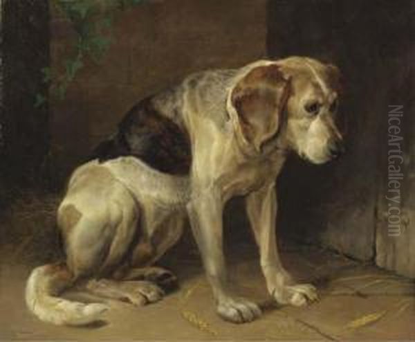 A Hound Oil Painting by Henry Weekes