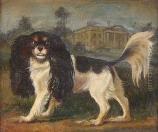 Study Of A King Charles Spaniel Oil Painting by Johann Friedrich W. Wegener