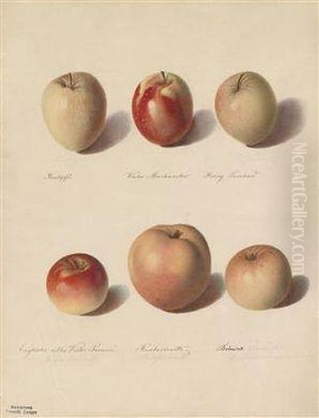 Verschiedene Apfel Oil Painting by Sebastian Wegmayr