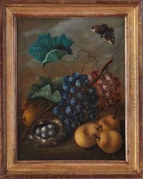 Still Life With Fruit And Moth Oil Painting by Sebastian Wegmayr