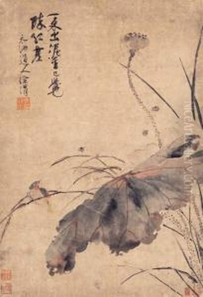 Bird By A Lotus Pond Oil Painting by Xu Wei