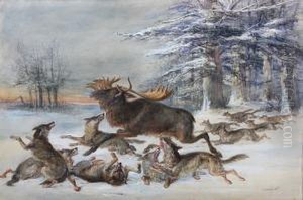 Elk Hounded By Wolves Oil Painting by Charles Henry Weigall