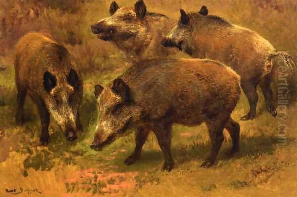 Four Boars in a Landscape Oil Painting by Rosa Bonheur