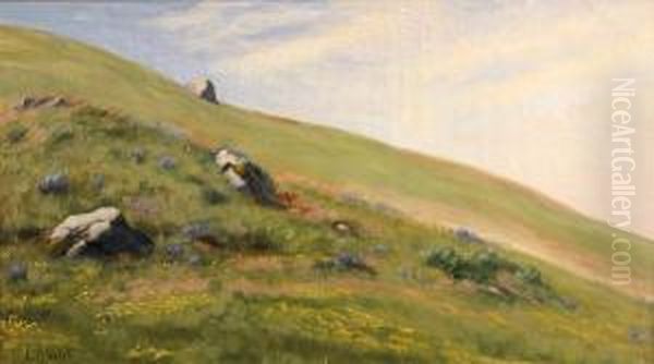 Wildflowers On A Hillside Oil Painting by Ludmilla P. Welch