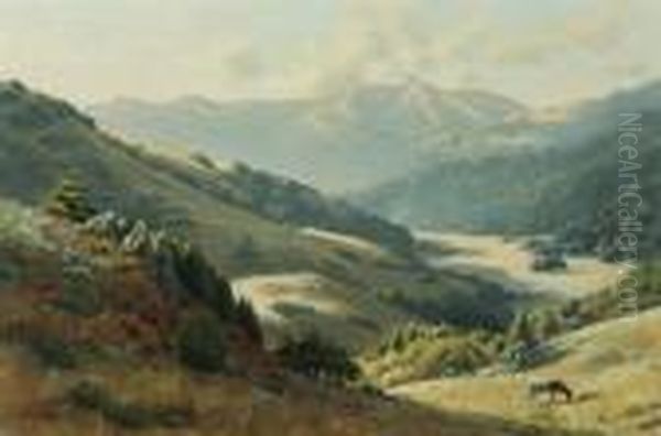 Pastoral Splendor, Cattle Along A Marin Hillside Oil Painting by Ludmilla P. Welch