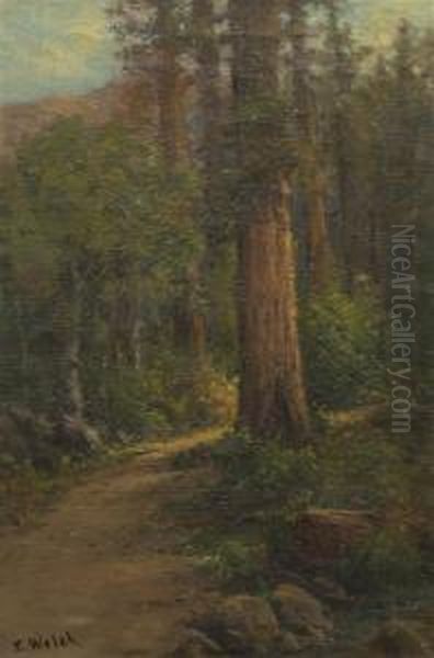 Forest Path Oil Painting by Thaddeus Welch