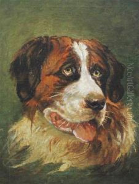 Head Of A St Bernard by Annie Welsh