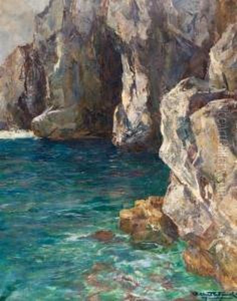 Skaliste Wybrzeze - Capri Oil Painting by Albert Wenk