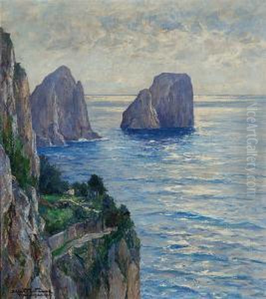 Skaly Faraglioni U Brzegow Capri Oil Painting by Albert Wenk