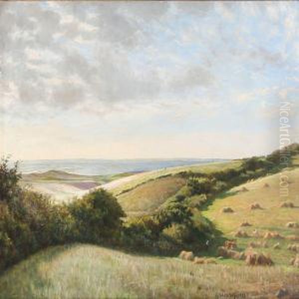 Summer Landscape Near A Coast Oil Painting by Carl Wentorf