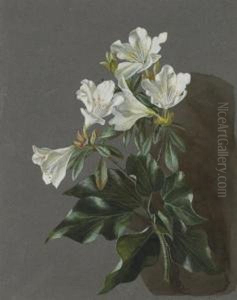 Etude D'azalees Blanches Oil Painting by Michael Gottlob Wentzel