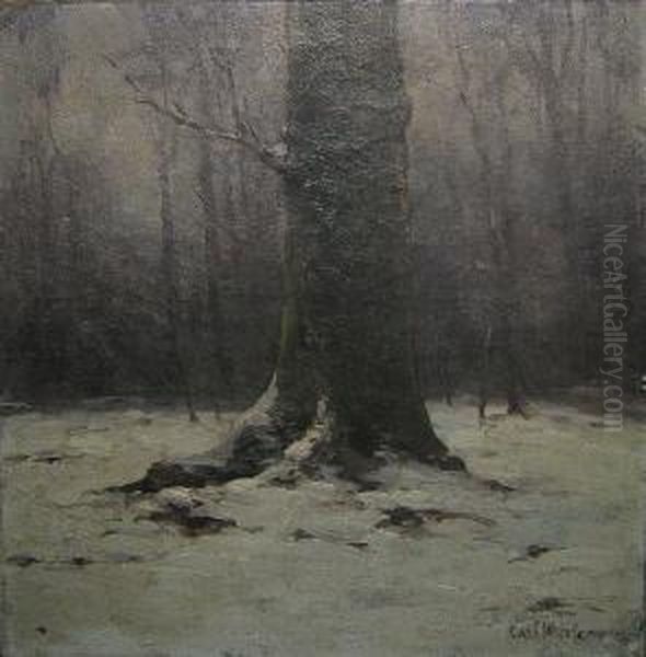 Sneeuweffect. Oil Painting by Carl Werlemann