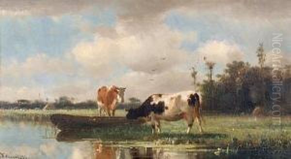 Cattle Watering At A Stream Oil Painting by Cornelis I Westerbeek