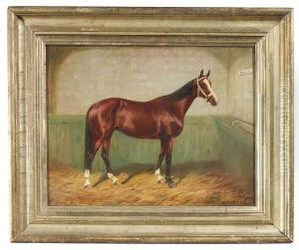 The Chestnut Mare 