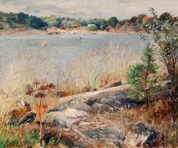 Coast View Oil Painting by Edvard Westman