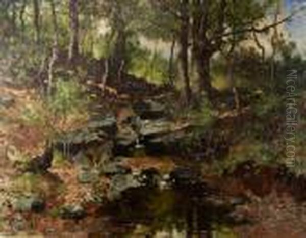 Rock Creek Park Oil Painting by Max Weyl