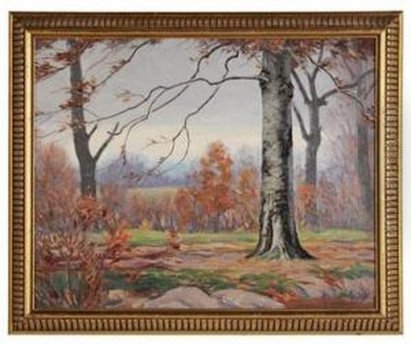 November Beech Tree by Clifton A. Wheeler