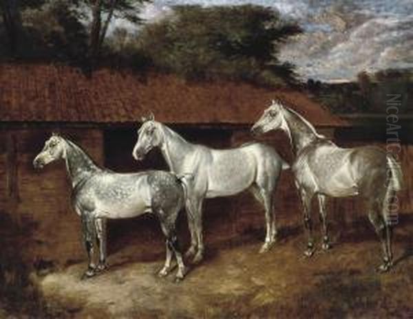 Three Good Greys Oil Painting by James Thomas Wheeler