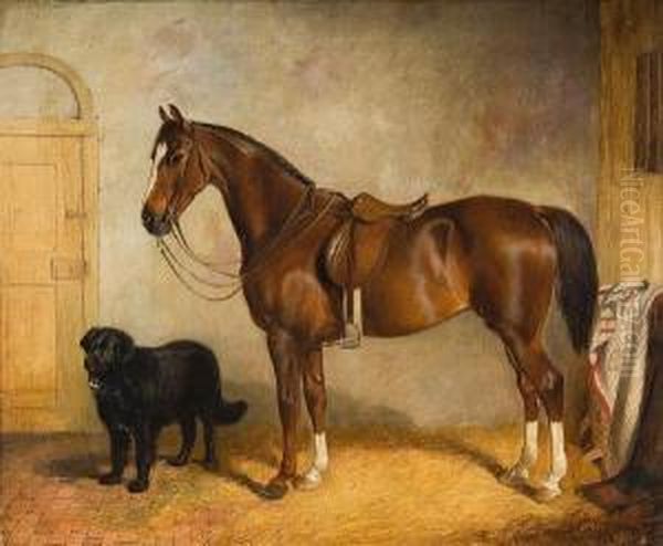 A Chestnut Hunter And Hound In A Stable Oil Painting by James Thomas Wheeler