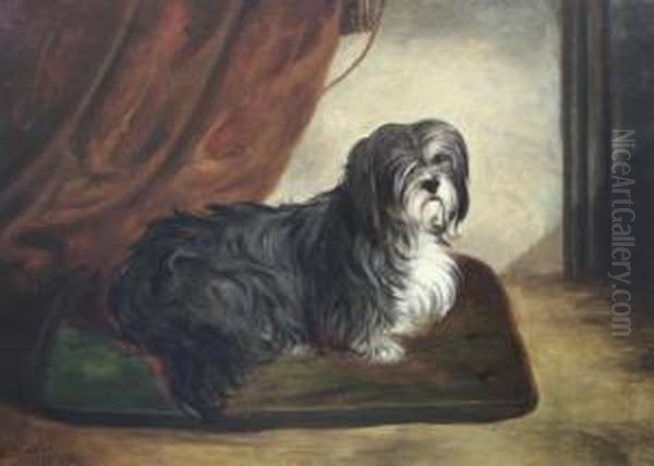 Portrait Of A Terrier Seated Upon A Cushion Oil Painting by John Arnold Wheeler