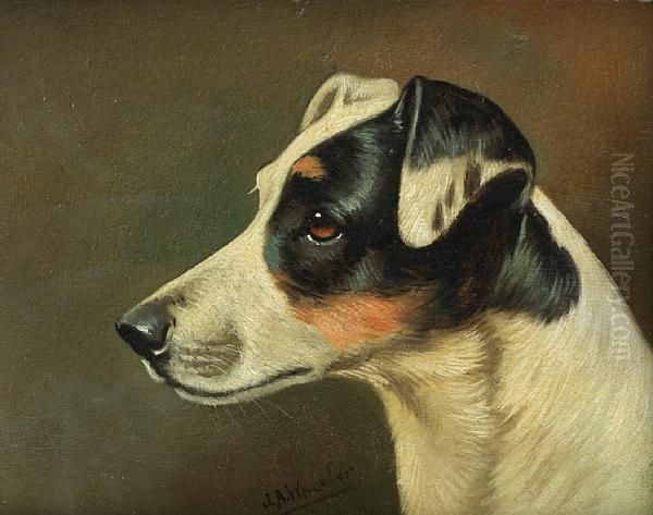 Head Studies Of Terriers: Two Oil Painting by John Arnold Wheeler