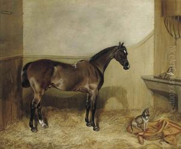 A Bay Hunter In A Stable With A Terrier Oil Painting by John Arnold Wheeler