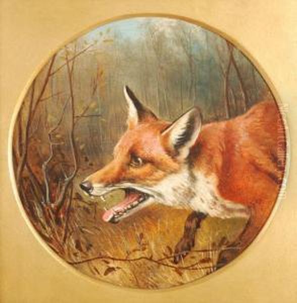 Head Of A Fox Oil Painting by John Arnold Wheeler