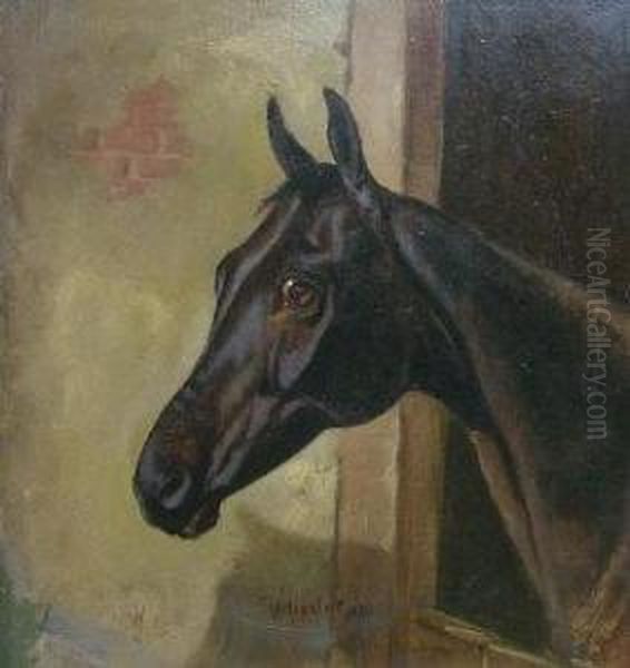 A Dark Bay Horse In A Stable Oil Painting by Of John Alfred Wheeler