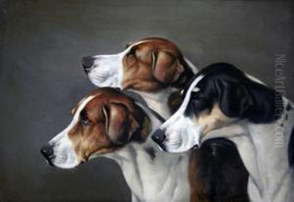 Foxhounds Oil Painting by Of John Alfred Wheeler