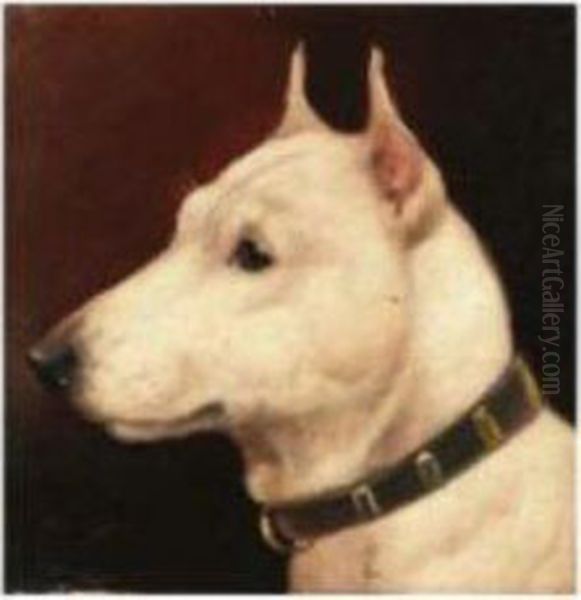 Head Of A Bull Terrier Oil Painting by T. Wheeler