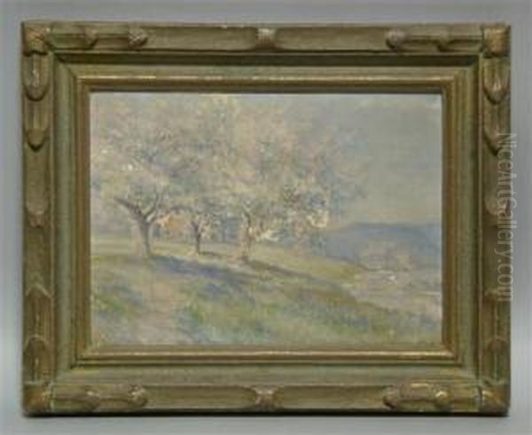 Cherry Blossoms Oil Painting by Verner White